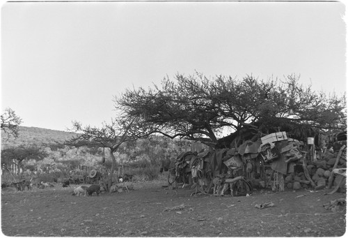 Saddle gear area at Rancho Las Jícamas