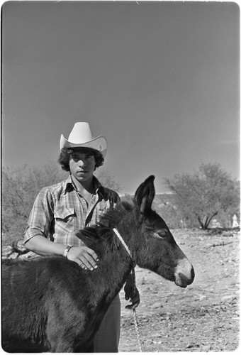 Man with young mule at Rancho San Martín