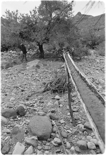 Loreto Arce working in his garden at Rancho San Gregorio