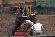 Peoples Temple Members Clearing Land, Jonestown, Guyana