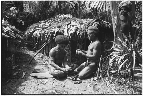 Pig festival, wig ritual, Tsembaga: at men's house, man's hair is arranged around wig frame