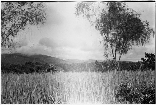 Schrader Range: kunai grassland