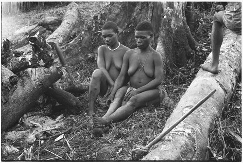 Yeria, Wanuma Census Division: in garden clearing, women in grass skirts, digging stick at right