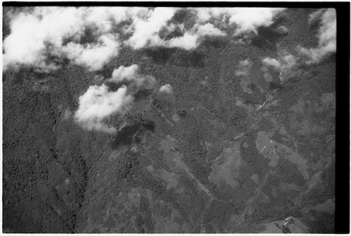 Aerial view of mountains, paths and garden clearings visible