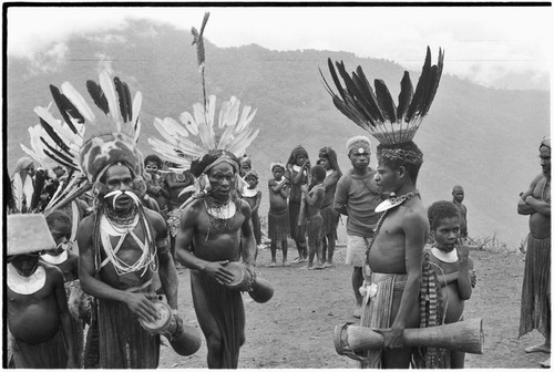 Pig festival, singsing, Tsembaga hosts Tsengamp: men with elaborate headdresses dance