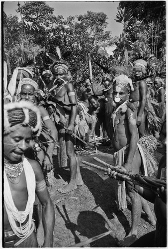 Pig festival, stake-planting, Tuguma: decorated Tsembaga men with ritual items to expel enemy spirits and establish boundary