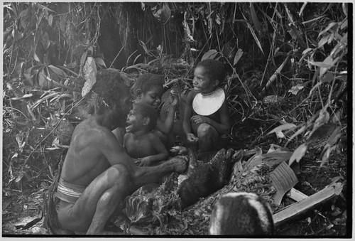 Pig festival, uprooting cordyline ritual, Tsembaga: man prepares to butcher meat from female pig sacrified to spirits of high ground, children watch