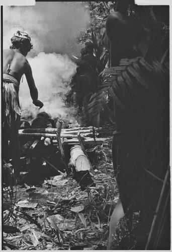 Pig festival, uprooting cordyline ritual, Tsembaga: in ancestral shrine, men stand in smoke from fire used to heat stones for pandanus dedication