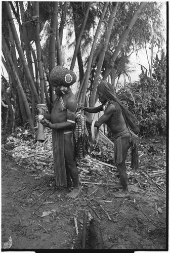 Pig festival, pig sacrifice, Tsembaga: woman adjusts dance bustle of decorated man wearing red wig