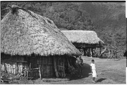 Fainjur: houses, one on stilts