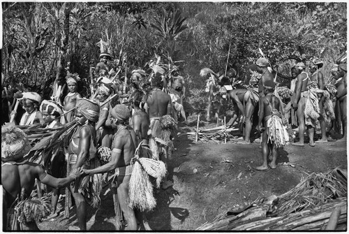 Pig festival, stake-planting, Tuguma: decorated Tsembaga men wait for bamboo (on fire, center) to explode, signaling depature