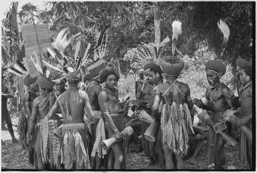 Pig festival, wig ritual: men wearing red wigs and feather valuables, folded mat held between split stick (l) used to carry feather valuables