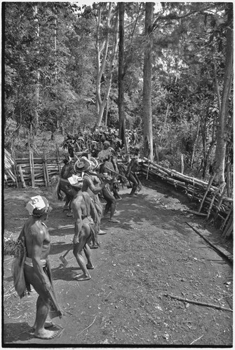 Pig festival, stake-planting, Tuguma: decorated men inside house fence join procession to enemy boundary