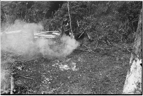 Gardening: women use slash-and-burn technique to clear a garden plot