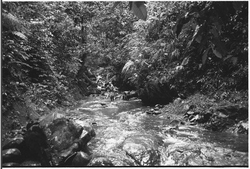 Man walks down a stream