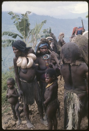 Pig festival, pig sacrifice, Tsembaga: Aundagai women wearing shell valuables