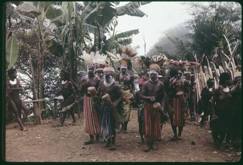 Pig festival, singsing: men in feather headdresses and colorful garments, play kundu drums