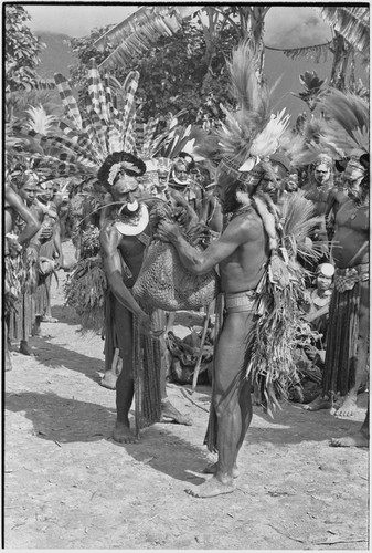 Pig festival, singsing, Kwiop: decorated host presents netbag of food to decorated man from visiting phratry