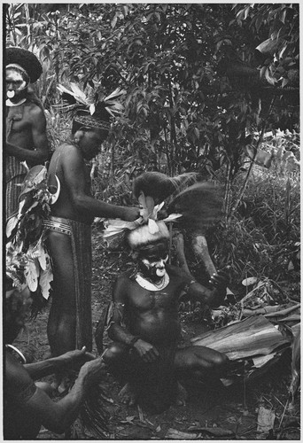 Pig festival, uprooting cordyline ritual, Tsembaga: men adorn themselves for ritual, wearing feather headdresses, man on left wears wig