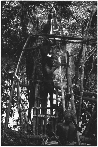 Bridge-building: view of ladder-like bridge entrance