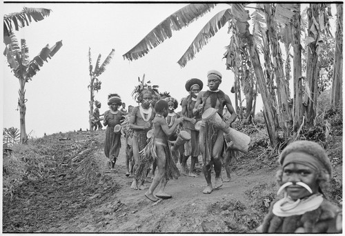 Pig festival, singsing preparations, Tsembaga: led by Muk, Mbabi, and Yemb, men play kundu drums and dance on future dance ground