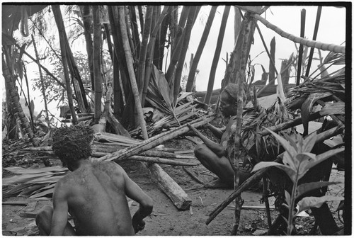 Pig festival, stake-planting, Tuguma: man bespells stakes, cordyline and aglaonema leaves for ritual