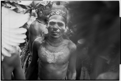 Pig festival, singsing, Kwiop: decorated man with feather headdress and painted body