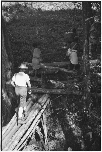 Ambaiat-Windebagu trail: Ann Rappaport and carriers cross log bridge