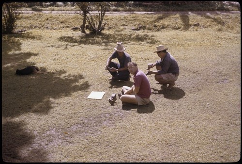 Archaeologist Roger Green, with Tapia, and Hu'a on front lawn, Moorea