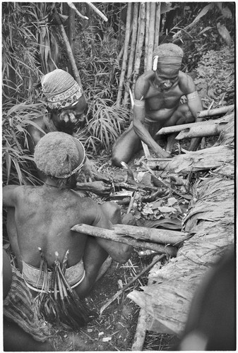 Pig festival, stake-planting, Tuguma: men butcher small pig for ritual meal