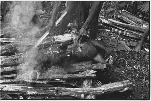 Food preparation: bristles are singed off a small dead pig