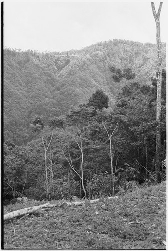 Mountains of Adelbert Range