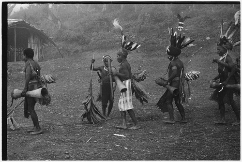 Pig festival, stake-planting, Tuguma: men expel enemy spirits from dance ground with bespelled stakes, leaves, and singing