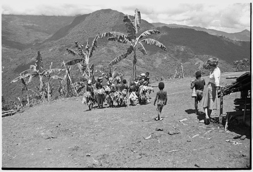 Pig festival, singsing preparations, Tsembaga: adolescent girls on dance ground, watched by Ann Rappaport