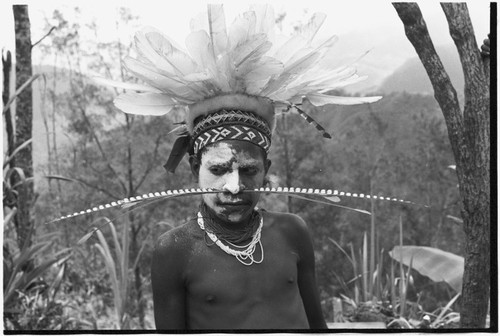 Pig festival, singsing, Kwiop: man with feather headdress and nose ornament, face paint