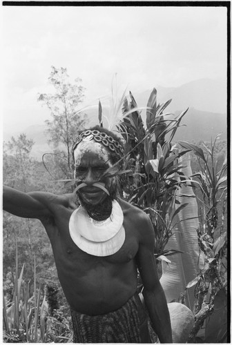 Pig festival, singsing, Kwiop: man with feather headdress, face paint and kina shell valuables