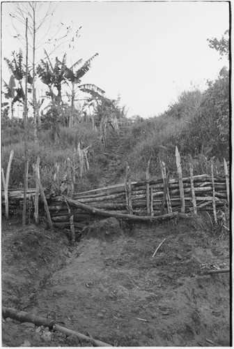 Tsembaga: path and garden fences