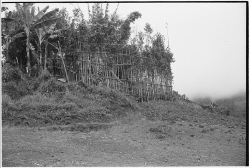 Pig festival, pig sacrifice, Tsembaga: framework of ritual fence, through which pork will be given to allies