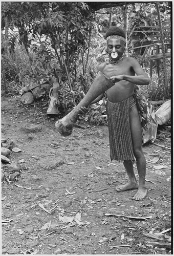 Pig festival, uprooting cordyline ritual, Tsembaga: decorated man treats kundu drum, ensuring its sound will be pleasing to ancestors