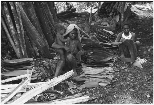 Pig festival, pig sacrifice, Tsembaga: women, one holding an infant, flatten leaves to thatch sacrifice house in ancestral shrine