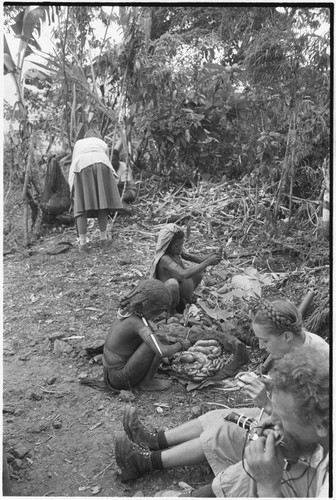 Pig festival, pig sacrifice, Tsembaga: people prepare foods, observed by Marek and Allison Jablonko and Ann Rappaport