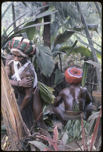 Pig festival, wig ritual, Tsembaga: men in wigs wash in preparation for being revealed to community