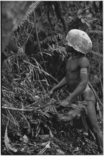 Hunting: Akis setting a snare in forest