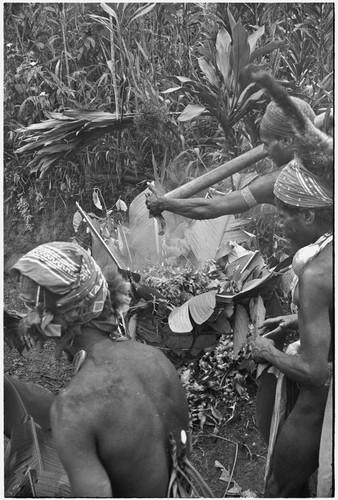 Pig festival, stake-planting, Tuguma: men drip water from bamboo tube onto hot stones in oven