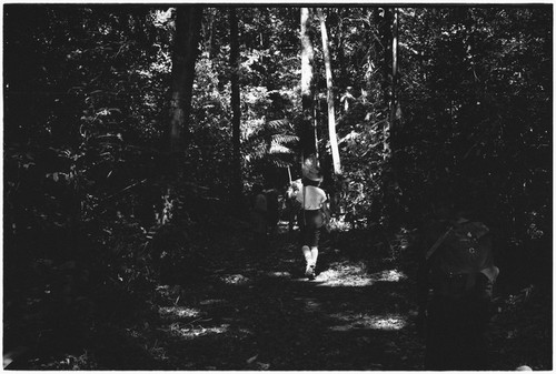 Ambaiat-Windebagu trail: Ann Rappaport with carriers in forested area