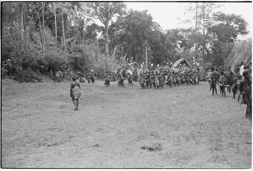 Pig festival, uprooting cordyline ritual, Tsembaga: men make stylized aggressive charge in front of government rest house, near clan boundary