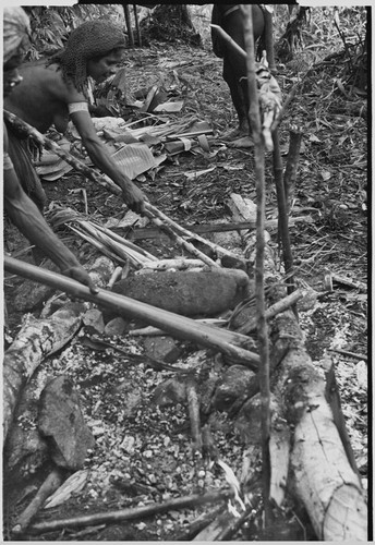 Pig festival, uprooting cordyline ritual, Tsembaga: woman moves hot stones for cooking pandanus and marsupials