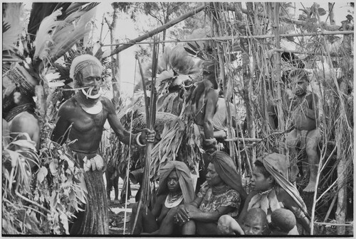 Pig festival, singsing, Kwiop: decorated men with feather headdresses, shell valuables, and weapons next to frame structure