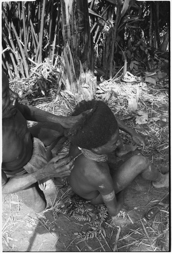 Pig festival, wig ritual, Tsembaga: man's hair is pulled over wig frame