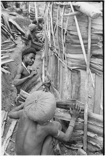 House-building for Rappaports: pandanus leaf siding added to wall, secured with stakes, note men's large barkcloth caps